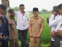 Hadiri  Peresmian KDMP  Bupati Trenggalek Berharap Program Berjalan Sesuai Harapan Presiden Prabowo