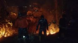 TNI-Polri dan BPBD Padamkan Kebakaran Hutan Seluas 3,5 Hektare di Trenggalek